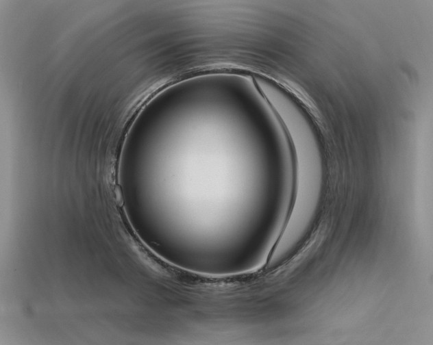 X0000113320793200909141354