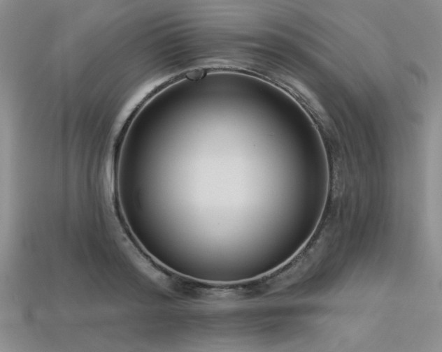 X0000113320796200909141354