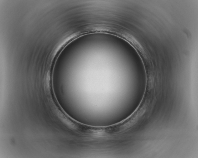 X0000113320798200909141354