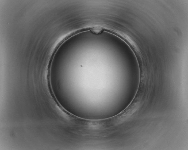 X0000113320799200909141354