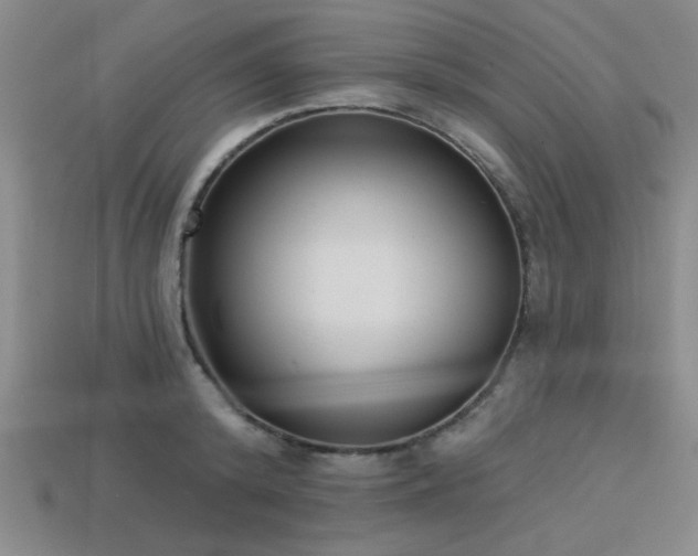 X0000113320800200909141354