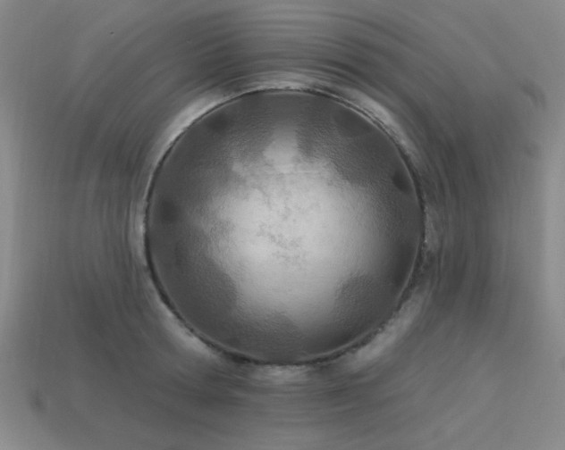 X0000113320802200909141354