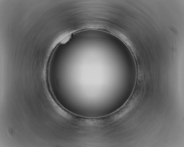 X0000113320803200909141354