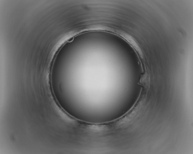 X0000113320805200909141354