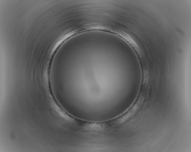 X0000113320806200909141354