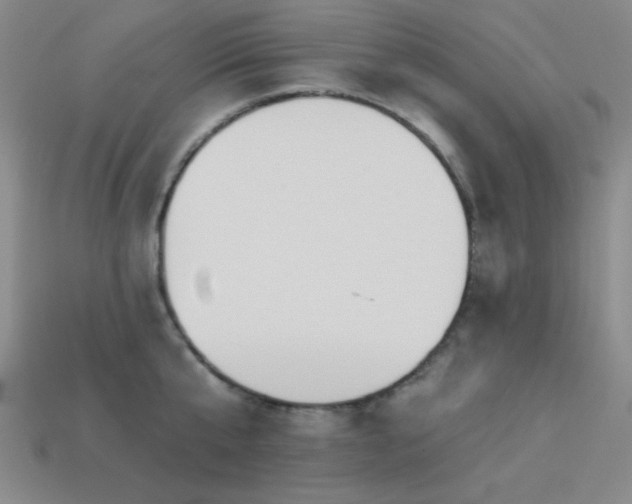 X0000113320807200909141354