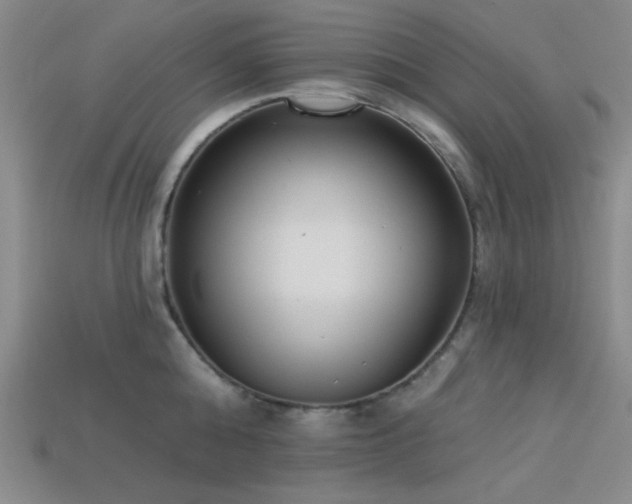 X0000113320808200909141354