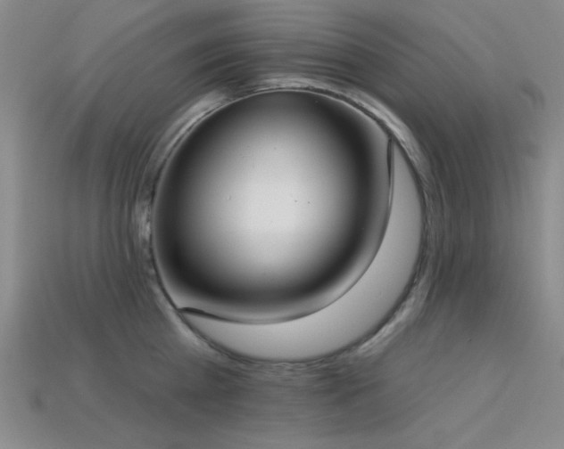 X0000113320809200909141354