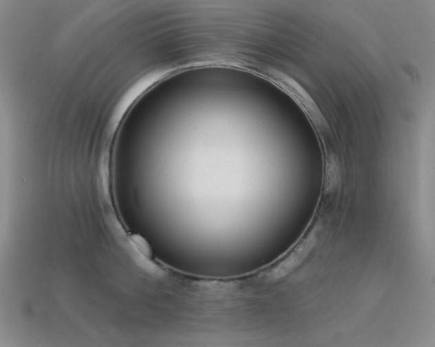 X0000113320812200909141354