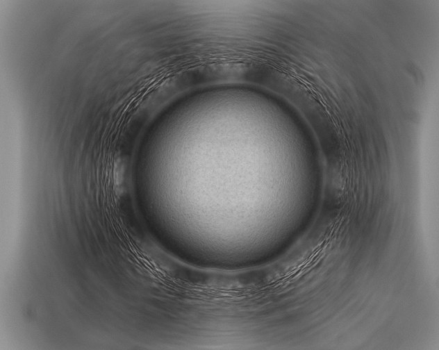 X0000113320818200909141353