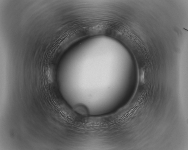 X0000113320819200909141353