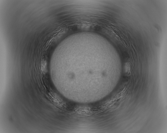 X0000113320820200909141353