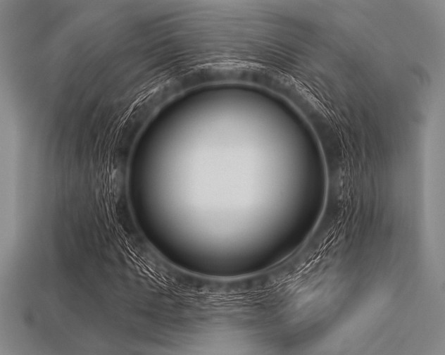 X0000113320821200909141353