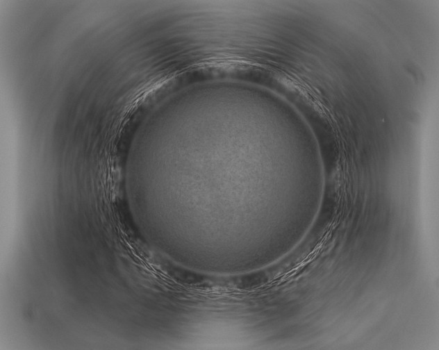 X0000113320822200909141353