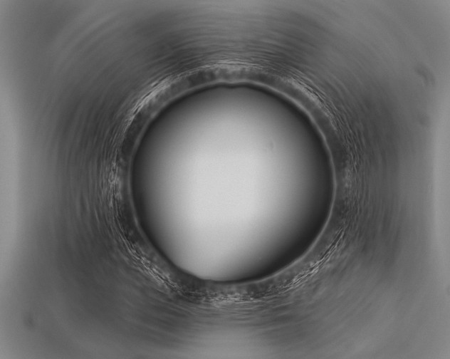 X0000113320823200909141353