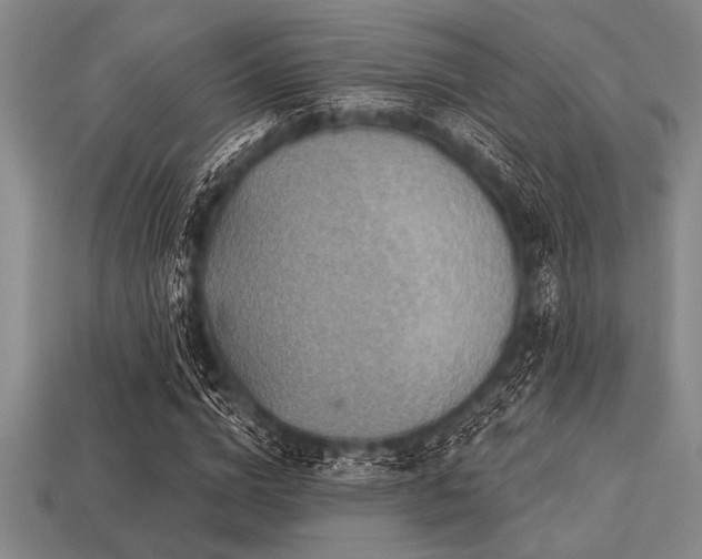 X0000113320824200909141353