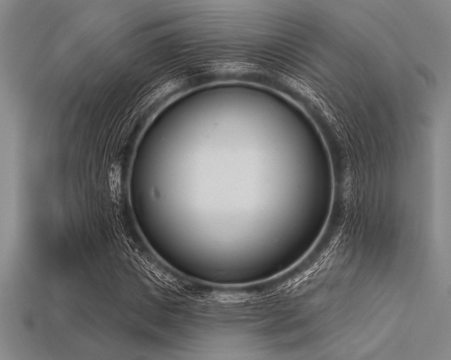 X0000113320825200909141353