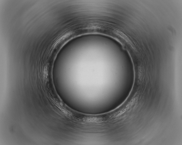 X0000113320826200909141353