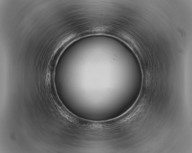 X0000113320827200909141353