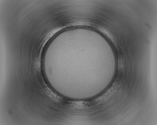 X0000113320828200909141353