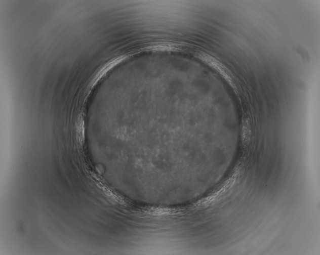 X0000113320829200909141353