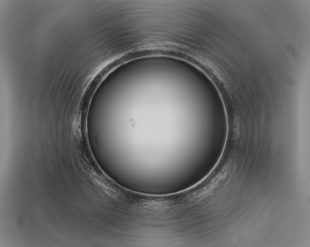 X0000113320830200909141353