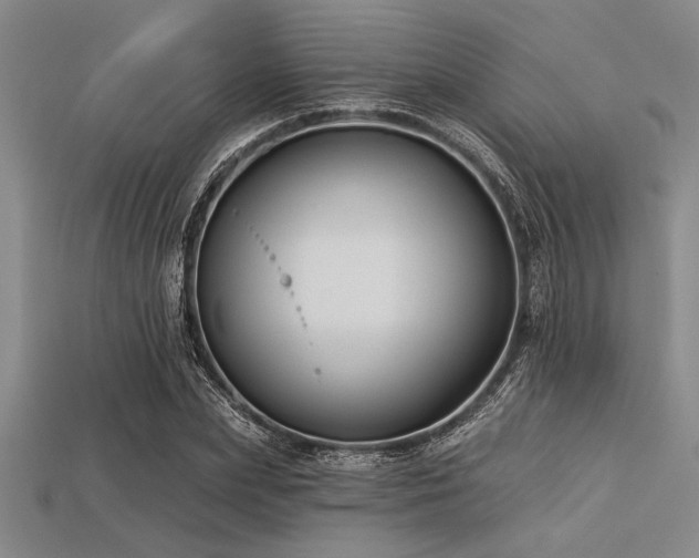 X0000113320831200909141353