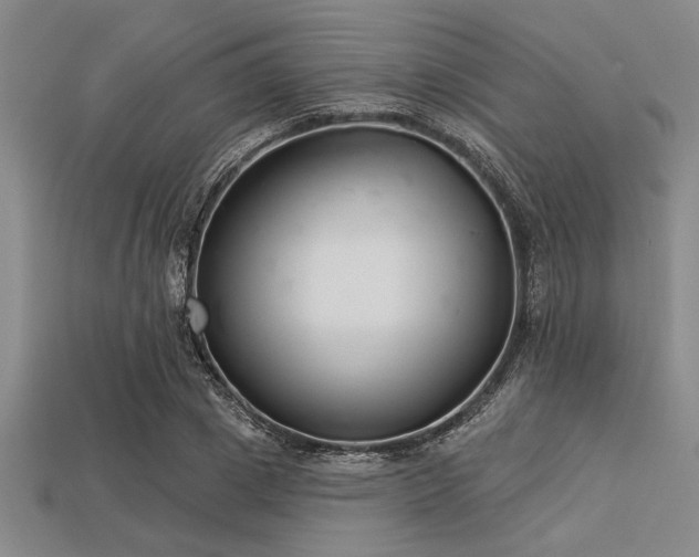 X0000113320833200909141353