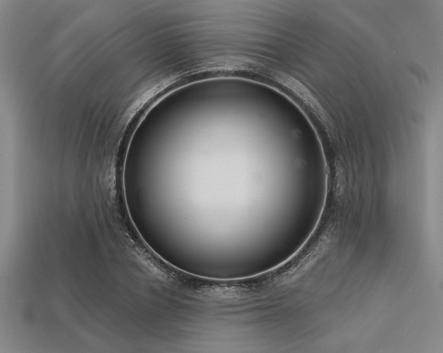 X0000113320834200909141353