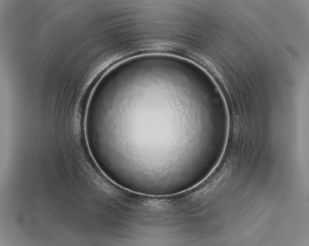 X0000113320835200909141353