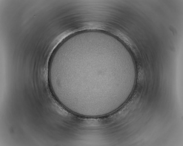 X0000113320836200909141353