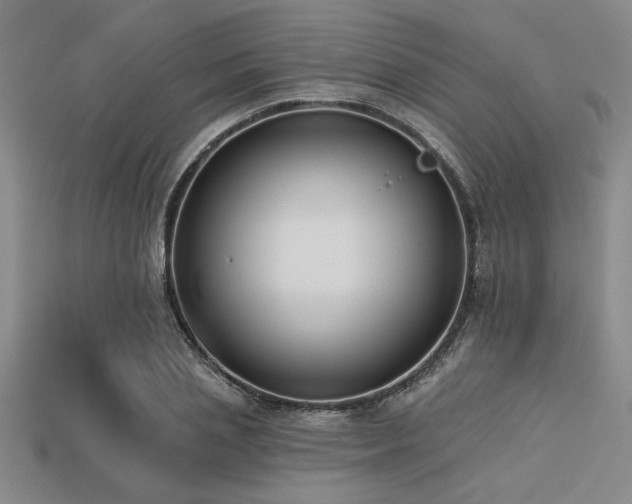 X0000113320837200909141353