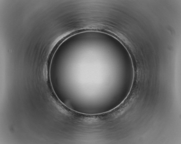 X0000113320838200909141353