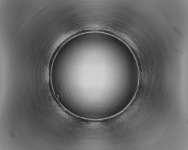 X0000113320839200909141353