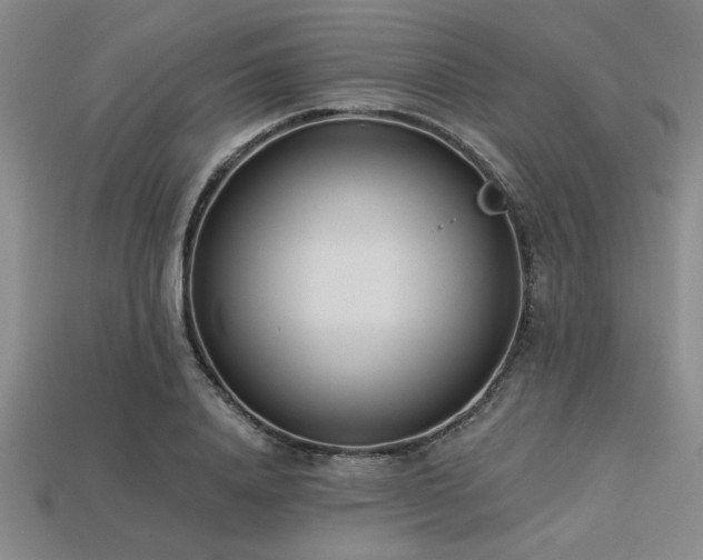 X0000113320840200909141353