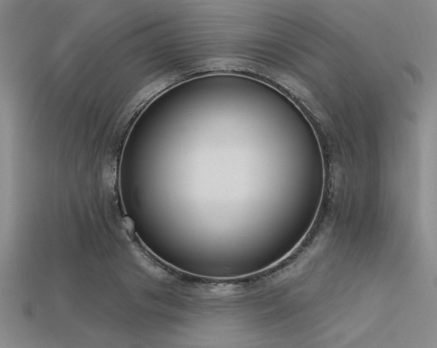 X0000113320841200909141353