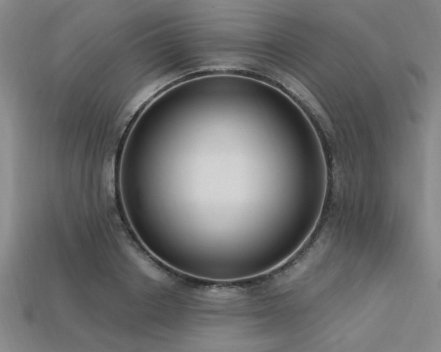 X0000113320842200909141353