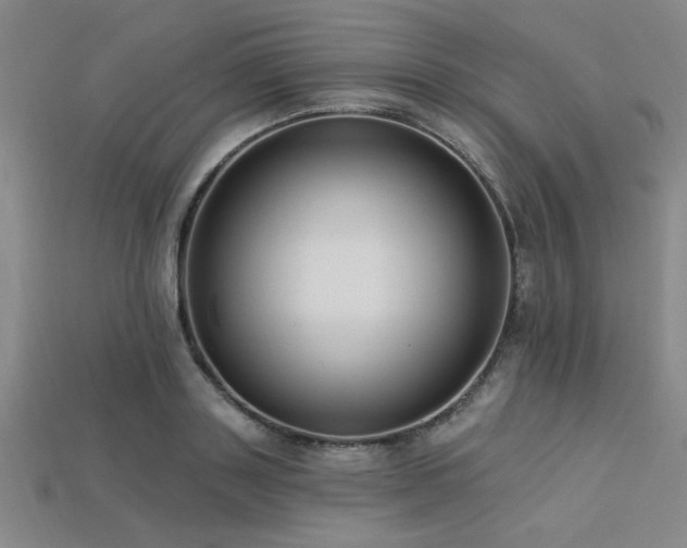 X0000113320843200909141353