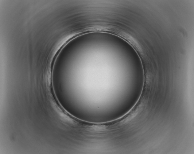 X0000113320844200909141353