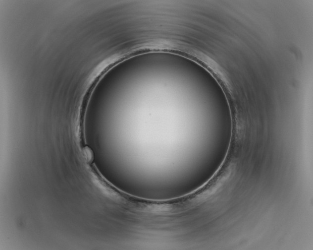 X0000113320845200909141353