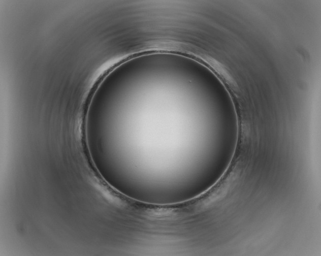 X0000113320846200909141353