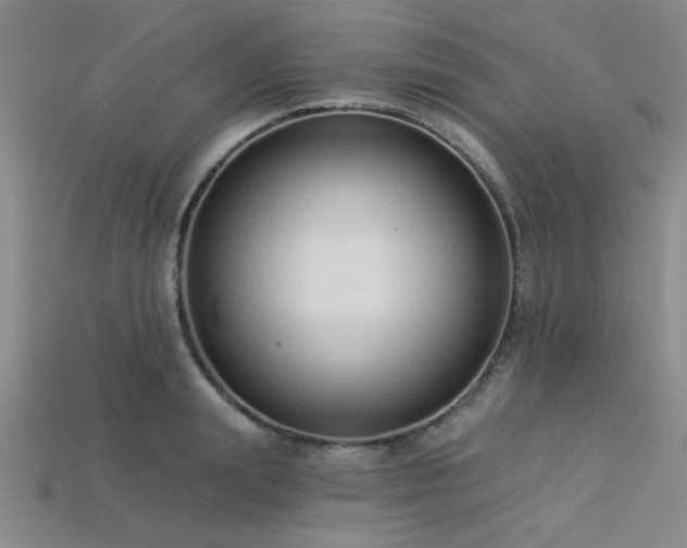 X0000113320847200909141353