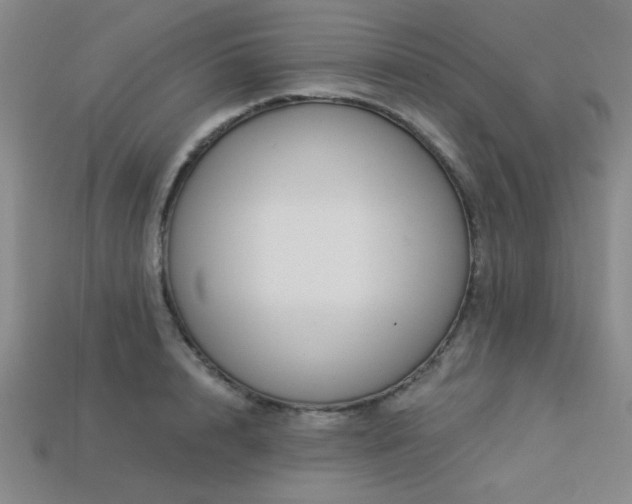 X0000113320848200909141354