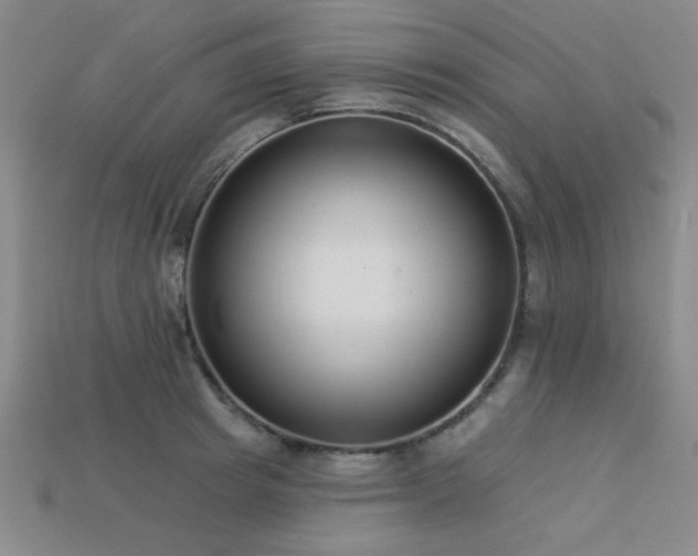 X0000113320849200909141354