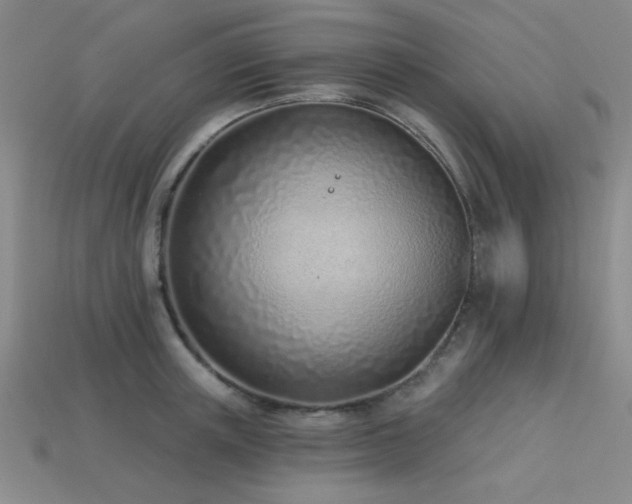 X0000113320851200909141354