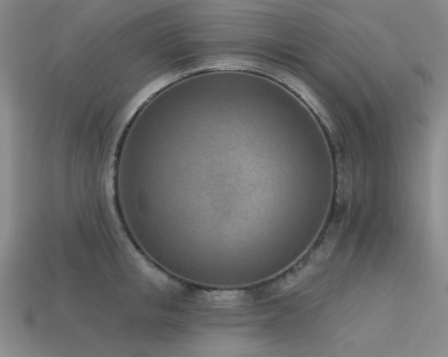 X0000113320853200909141354