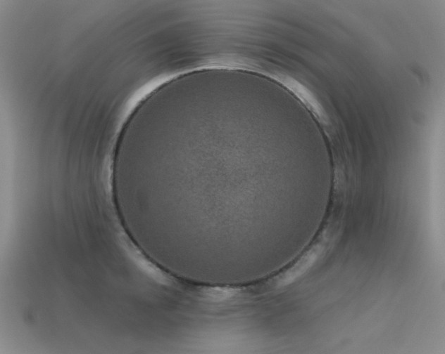 X0000113320854200909141354