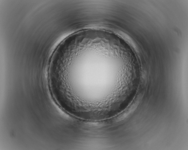 X0000113320855200909141354