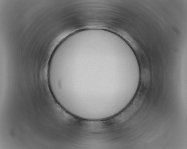 X0000113320856200909141354