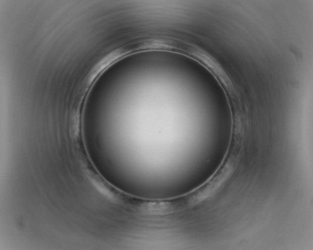 X0000113320858200909141354